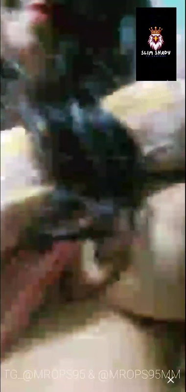 New chamet collection 2026  496