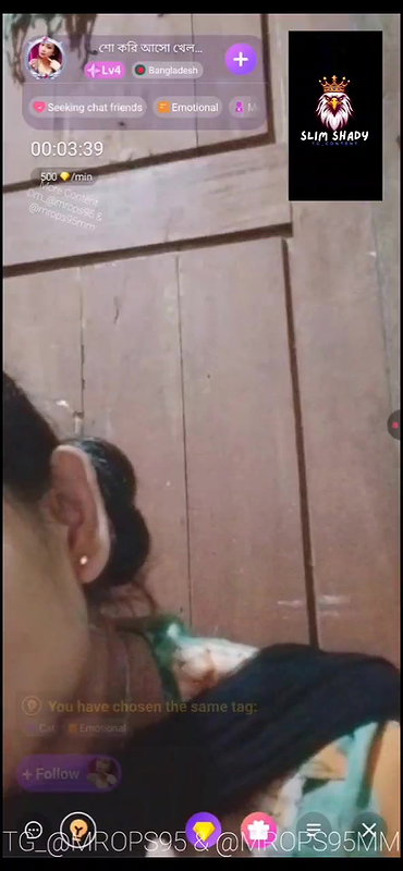 New chamet collection 2026  503