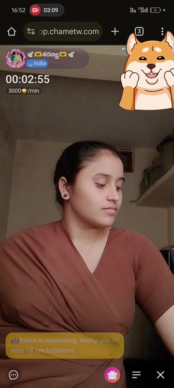 New chamet collection 2026  557