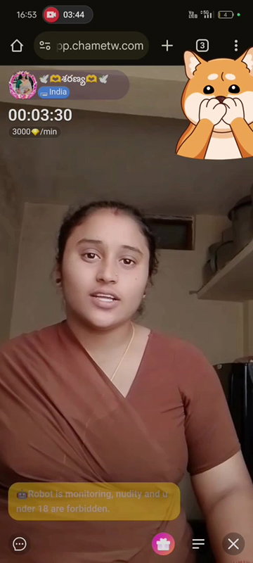 New chamet collection 2026  557