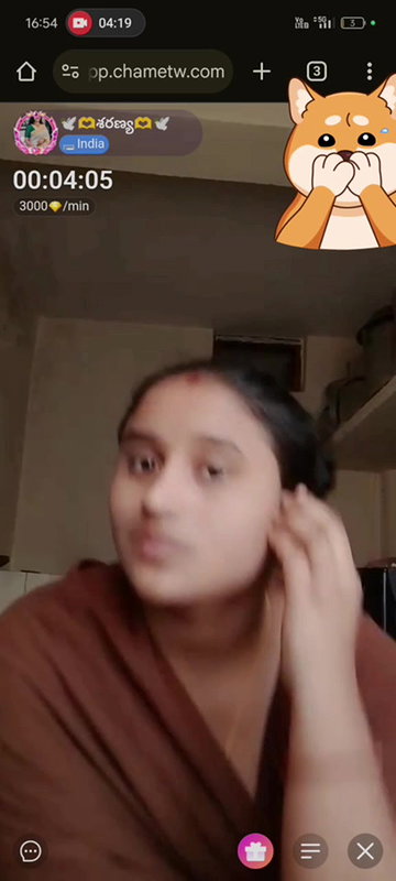 New chamet collection 2026  557