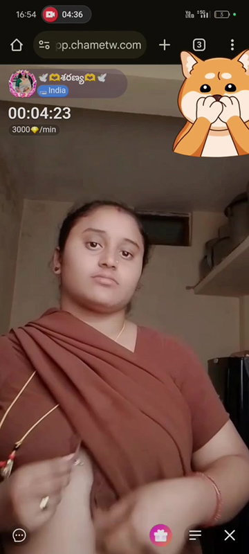 New chamet collection 2026  557