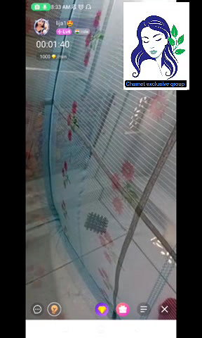 New chamet collection 2026  621