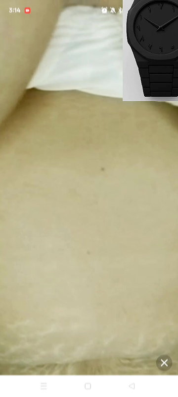 New chamet collection 2026  685