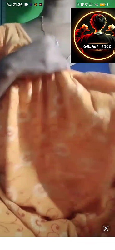 New chamet collection 2026  690