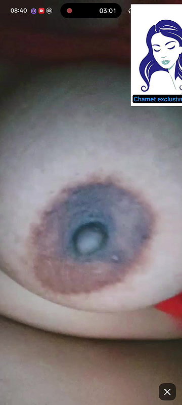 New chamet collection 2026  708