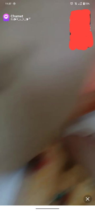 New chamet collection 2026  780