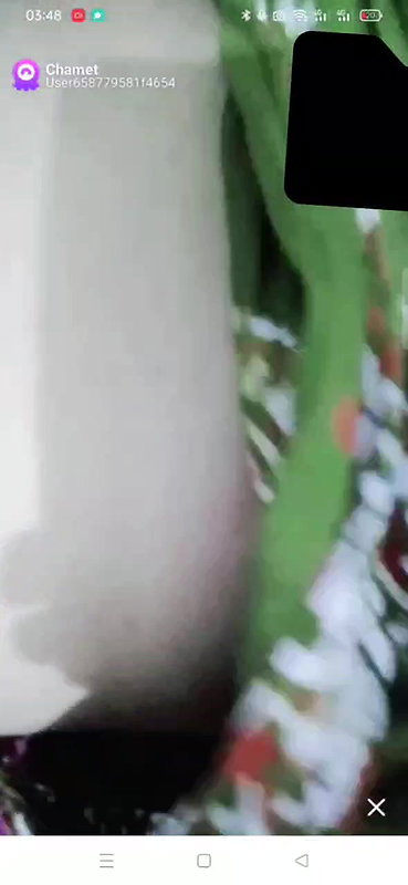 New chamet collection 2026  788