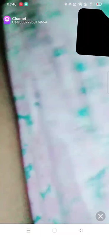 New chamet collection 2026  788