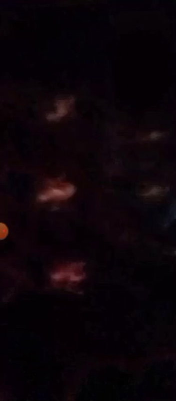 New chamet collection 2026  838