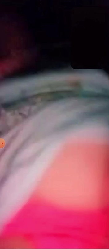 New chamet collection 2026  838