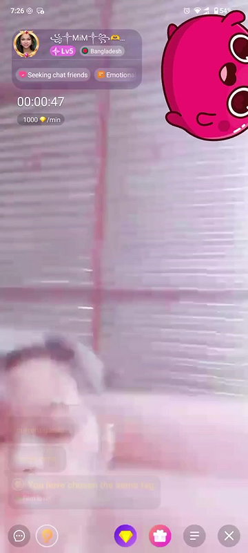 New chamet collection 2026  843