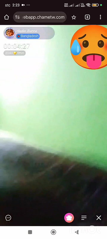 New chamet collection 2026  849