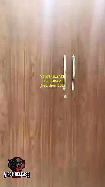 BABY DOLL – 08 DEC