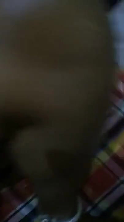 Telugu Bhabhi Shwing Pussy