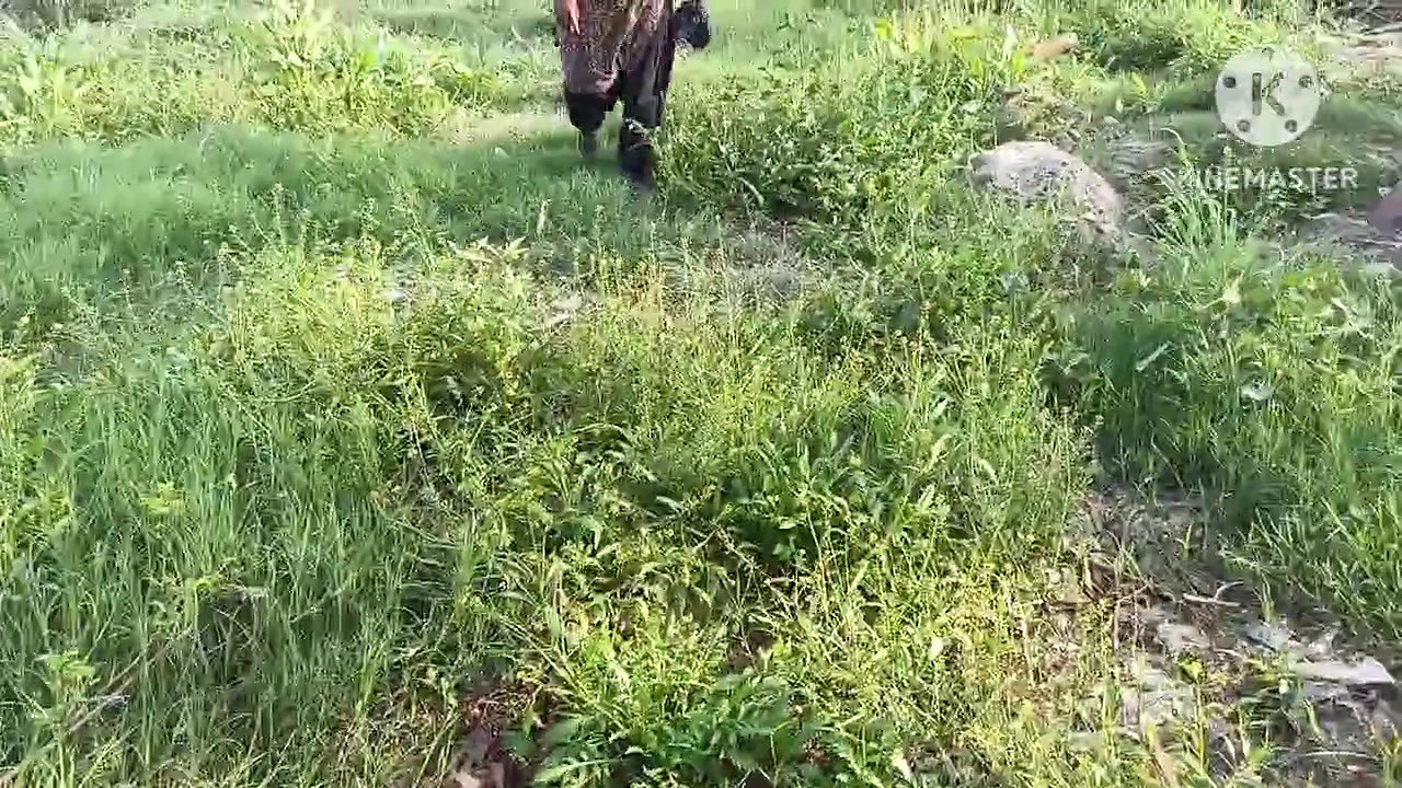 Desi Bhabhi Devar First Time Sex in Outdoor Area