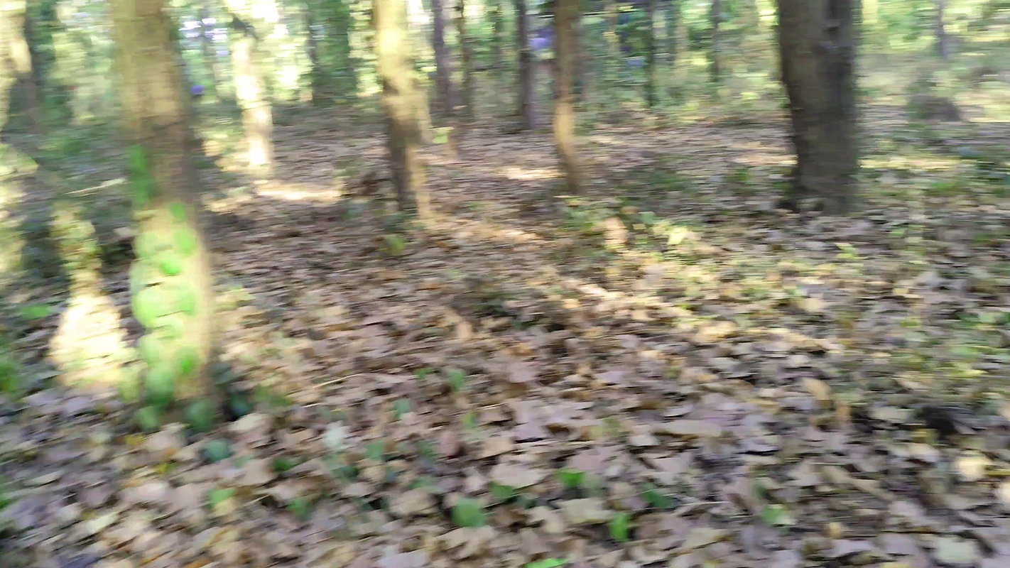 My Step Was Called to the Park Today and Put Her in the Room