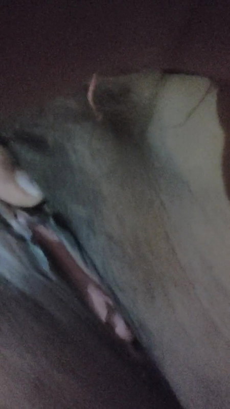 Sexy Chut Hot Maal Sexy Bhabhi Chudakadh Bhabhi Gulabi Chut