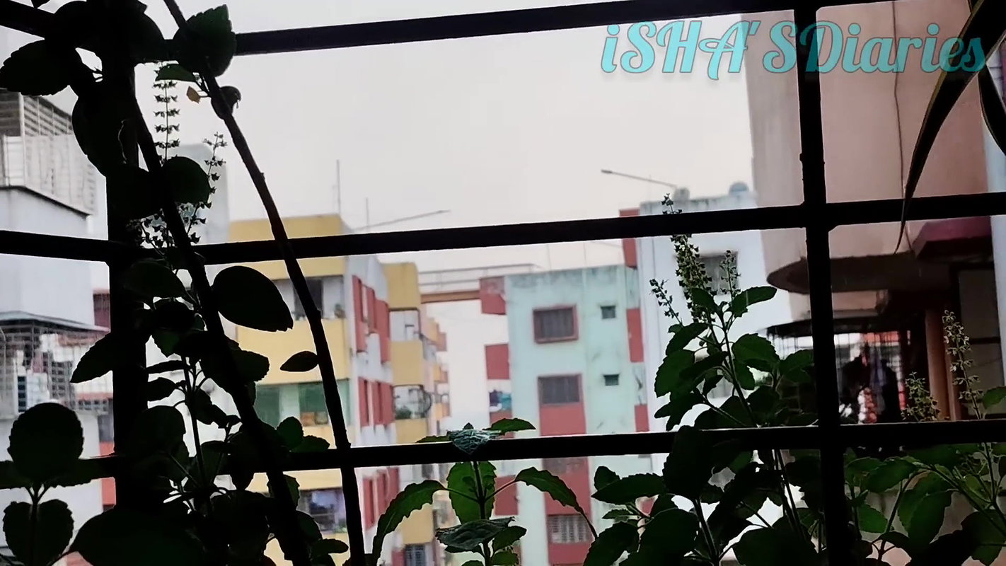 Youtuber Isha Diaries 25