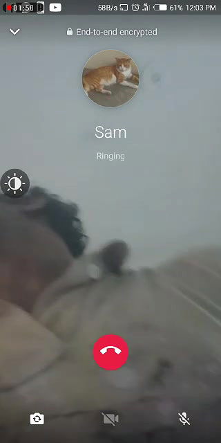 Tamil wife boobs and pussy show to hubby on VC