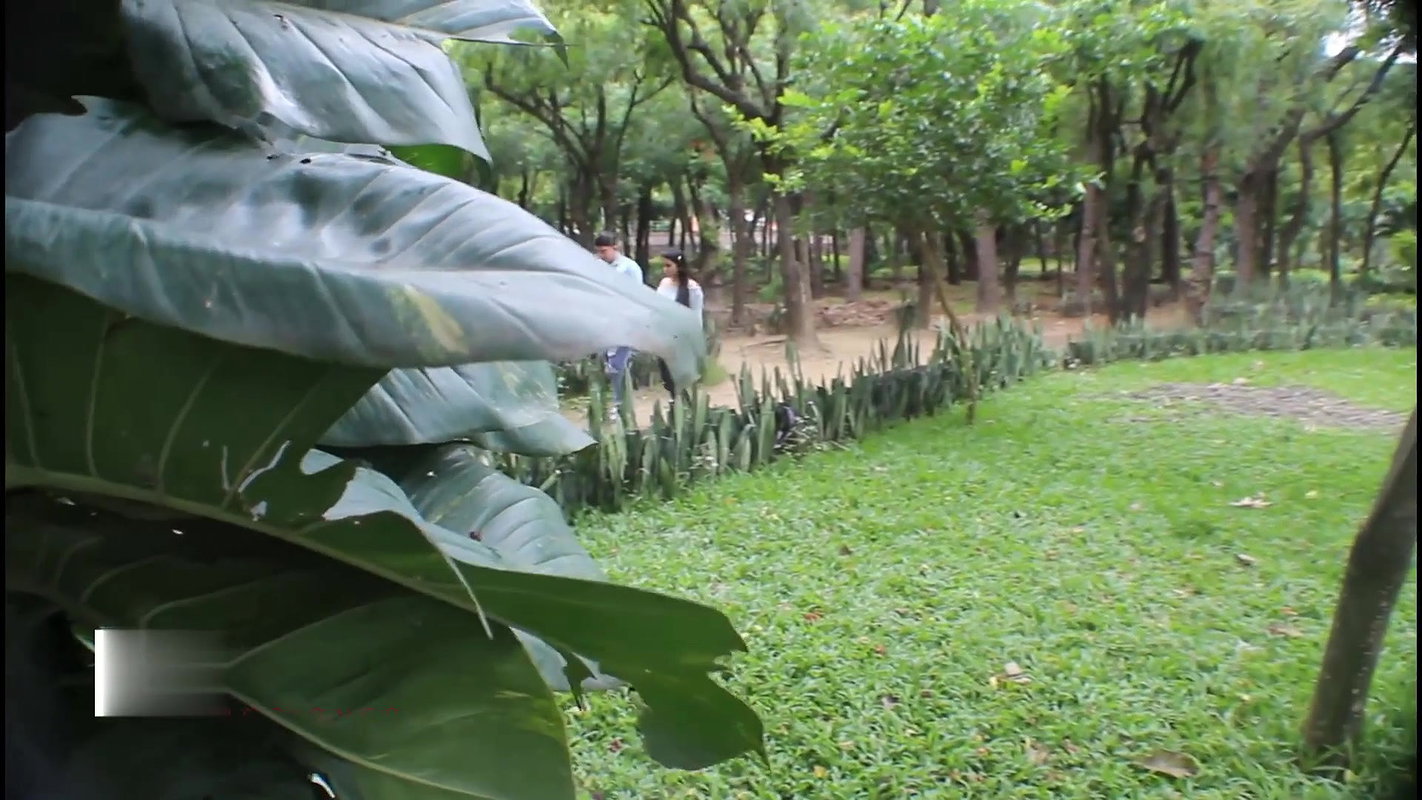 Spy on a Couple While They Touch- Melanie Caceres