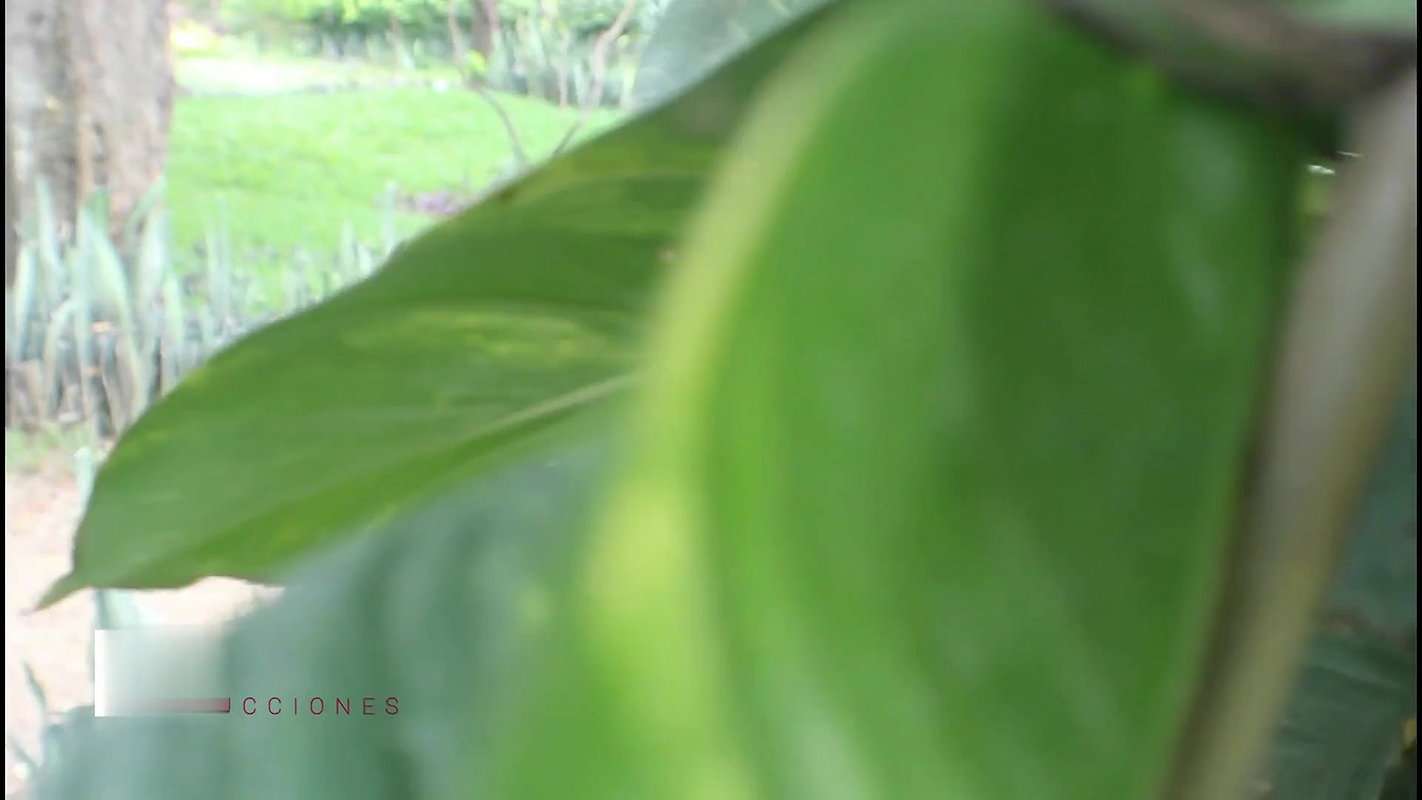 Spy on a Couple While They Touch- Melanie Caceres