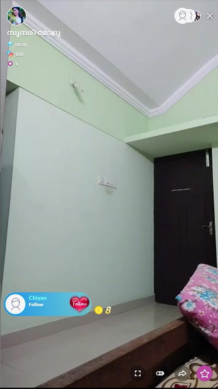 Mallu Tango Girl in Saree (Non Nude)