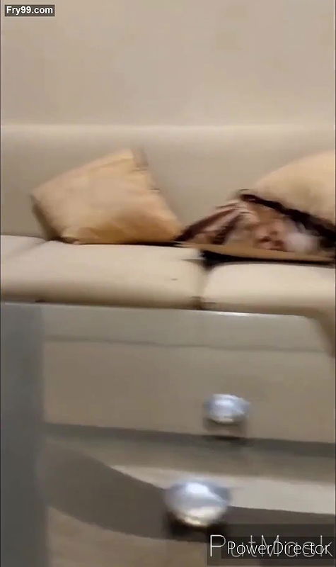 Indian desi bhabi ko devar ne jamkar choda xxx