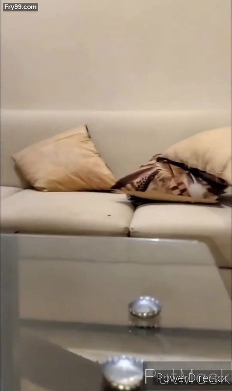 Indian desi bhabi ko devar ne jamkar choda xxx