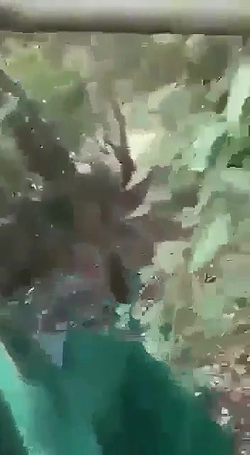 Cute girl having outdoor with clear hindi talking