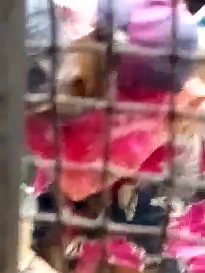 My Neibour Aunty Spyied Her Thighs and Cleavage Hot