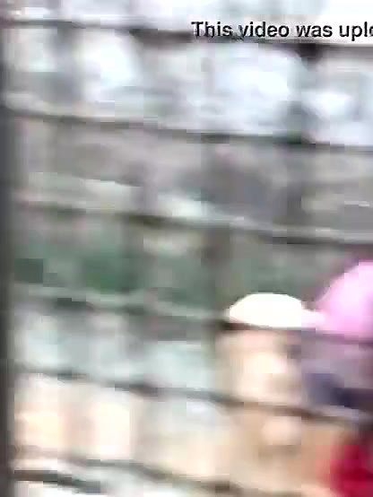 My Neibour Aunty Spyied Her Thighs and Cleavage Hot