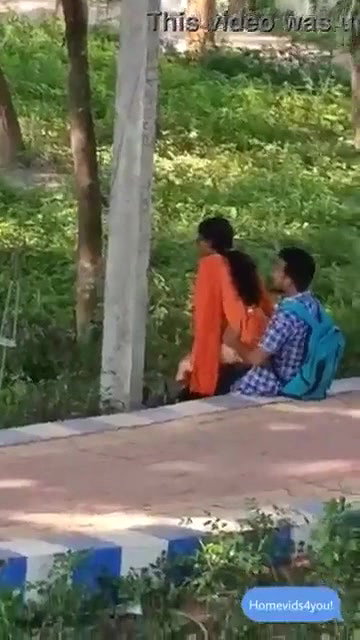 Desi Lovers Fucking in Park Capture Hidenly