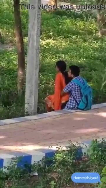 Desi Lovers Fucking in Park Capture Hidenly