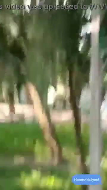 Desi Lovers Fucking in Park Capture Hidenly