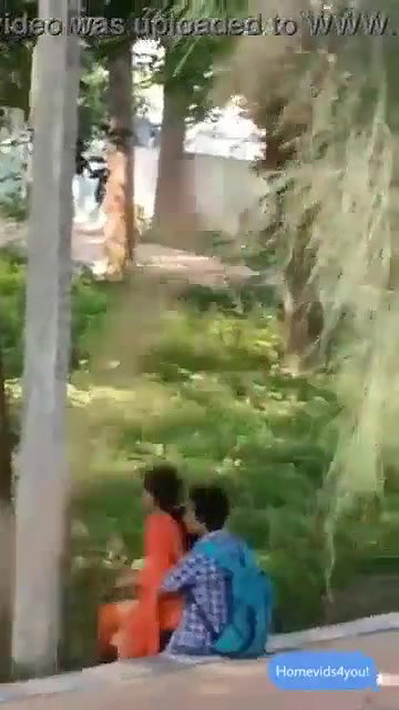 Desi Lovers Fucking in Park Capture Hidenly