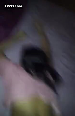 Desi Aunty Moans Loudly When Fucked Doggy