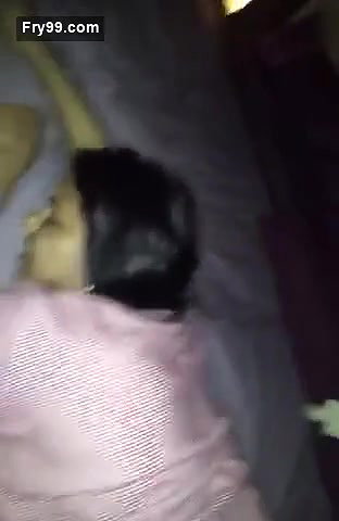 Desi Aunty Moans Loudly When Fucked Doggy