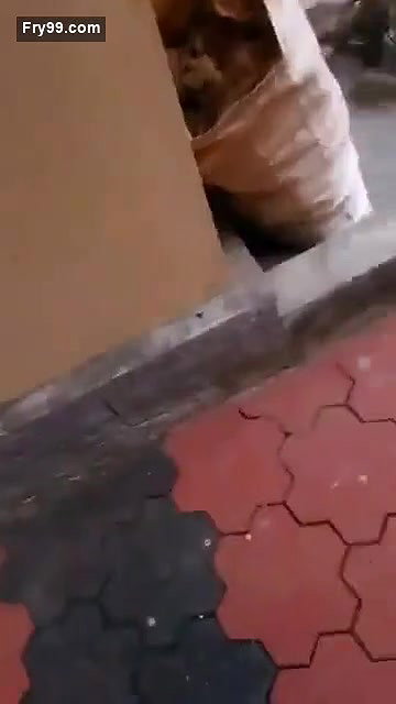 Mallu Maid Showing Her boobs for Owner