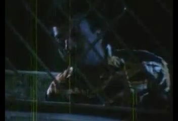 Enjoy Mallu aalolam kili 2 17 min