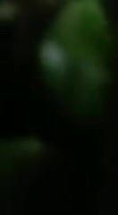 Odia Cpl OutDoor Fucking