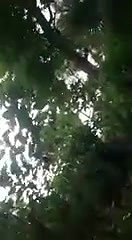 Odia Cpl OutDoor Fucking