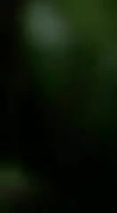 Odia Cpl OutDoor Fucking