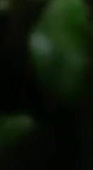 Odia Cpl OutDoor Fucking