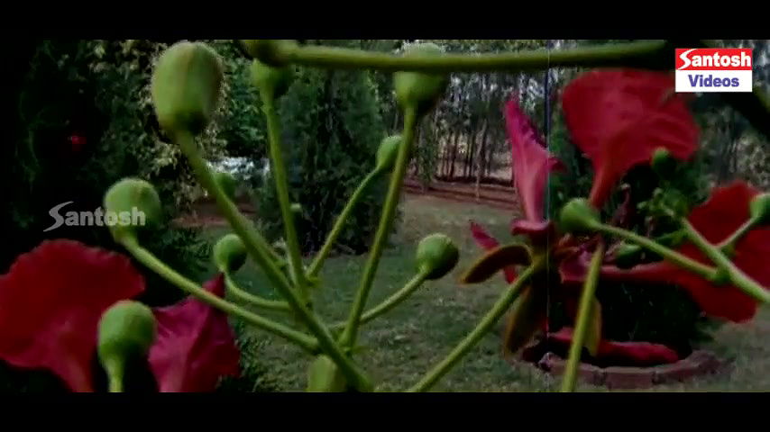 Mallika Compile Edadugulu