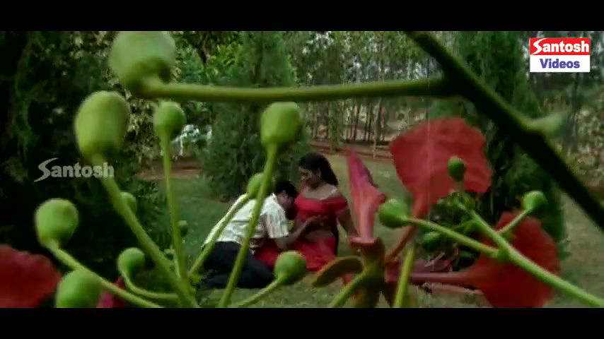 Mallika Compile Edadugulu