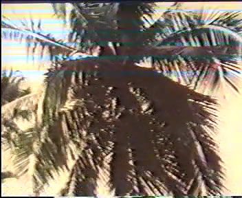 Mallu Spicy Bits 6.DAT