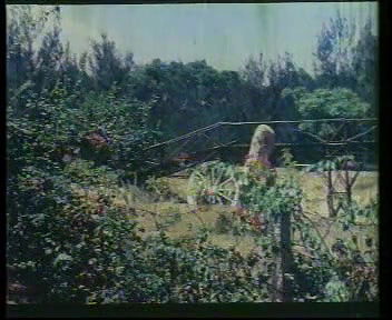 Mallu Uncensored Streamy Clips