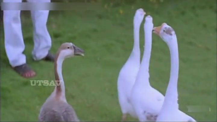 NAKHACHITHRANGAL Disc 2