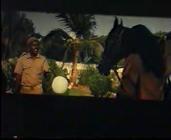 Ninnai kathai mudipaval Mallu B Grade Movie